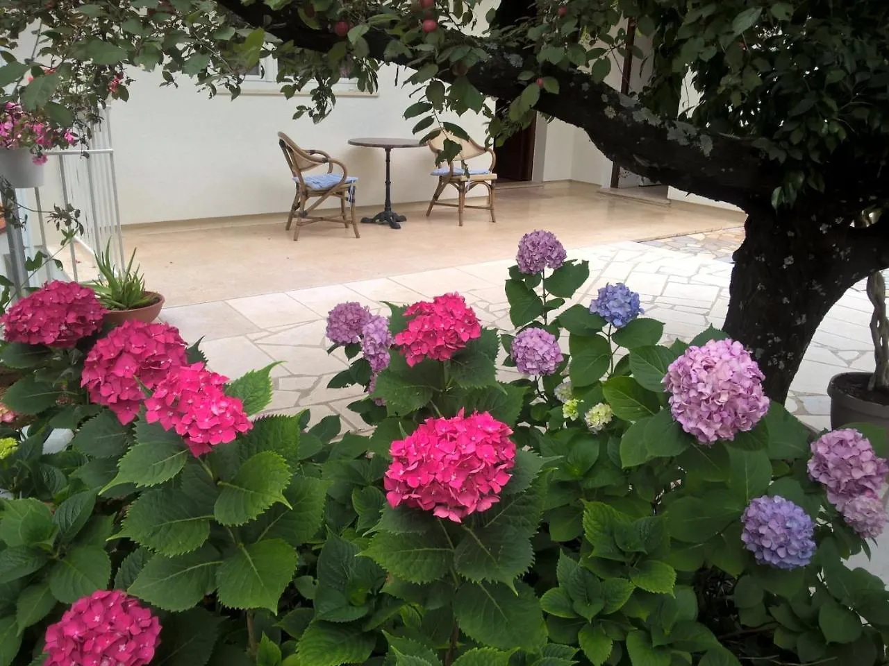 Apartments Frlan Kastav